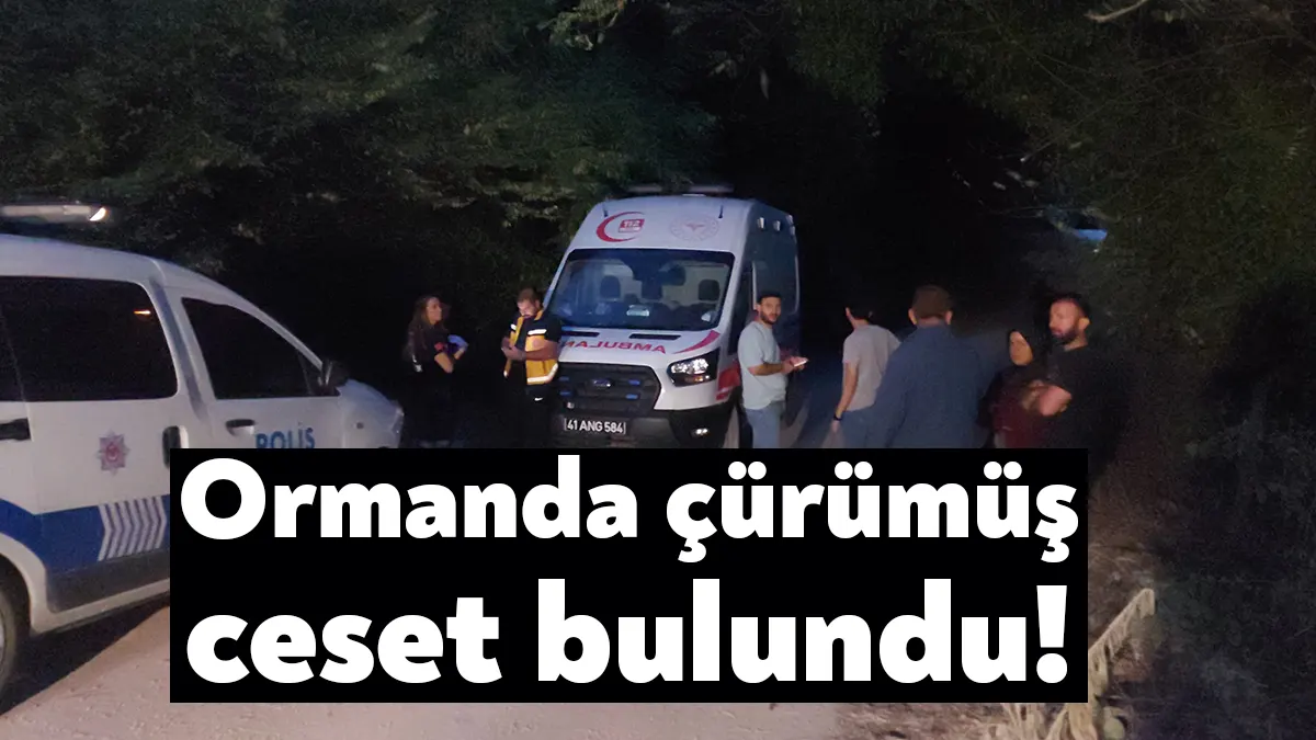 Kocaeli’nin Kartepe ilçesinde ormanlık alanda çürümüş bir ceset bulundu. Cesedin