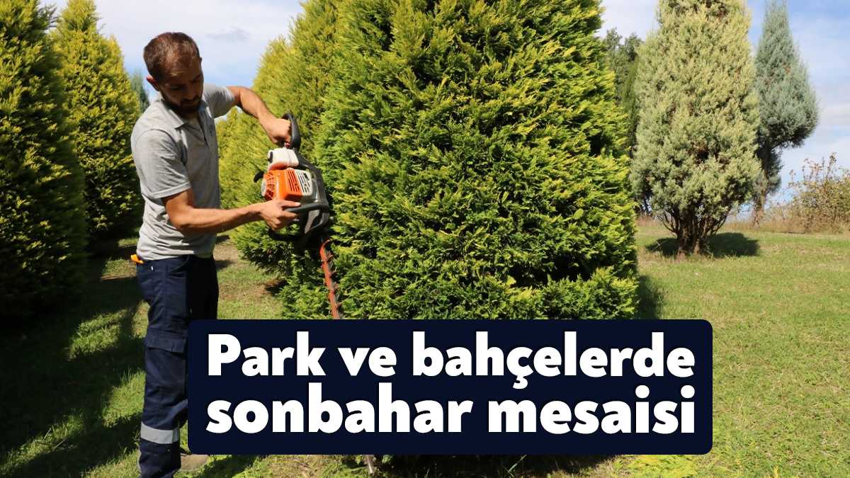 Büyükşehir, ağaç ve çalı gruplarının daha kuvvetli ve sağlıklı olabilmesi