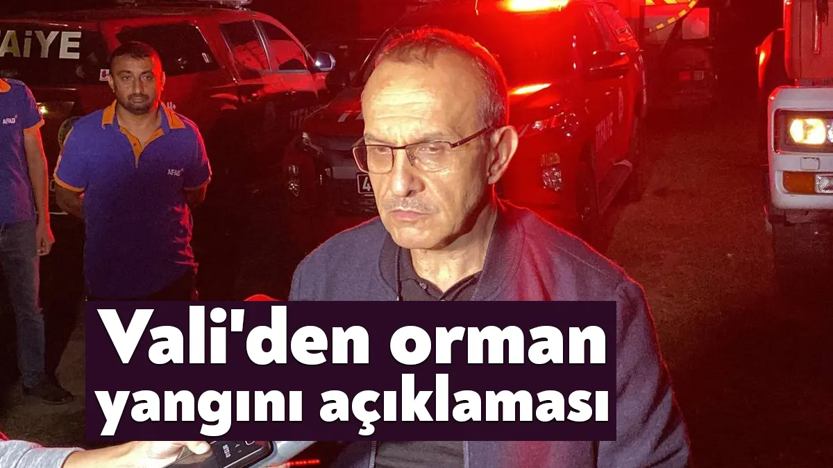 Kocaeli’nin Başiskele ilçesinde ormanlık alanda çıkan yangın ekiplerin müdahalesiyle büyük