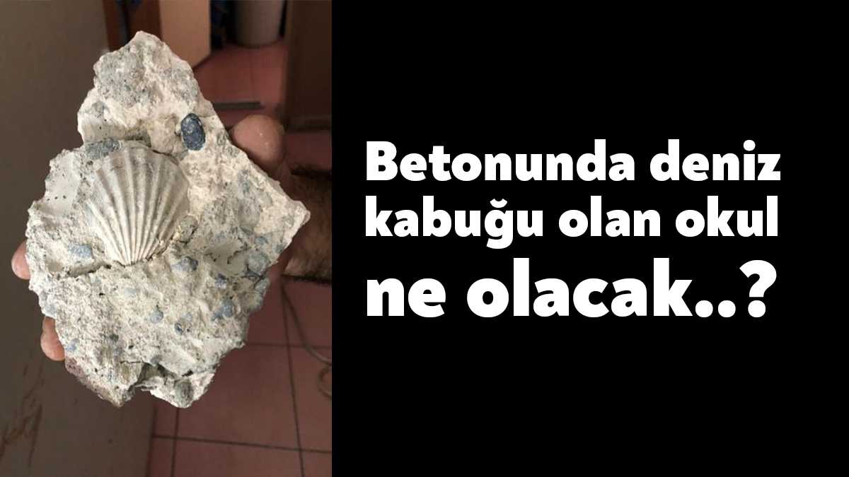 CHP Gebze İlçe Başkanı Gökhan Orhan, dökülen sıvasından deniz kabukları