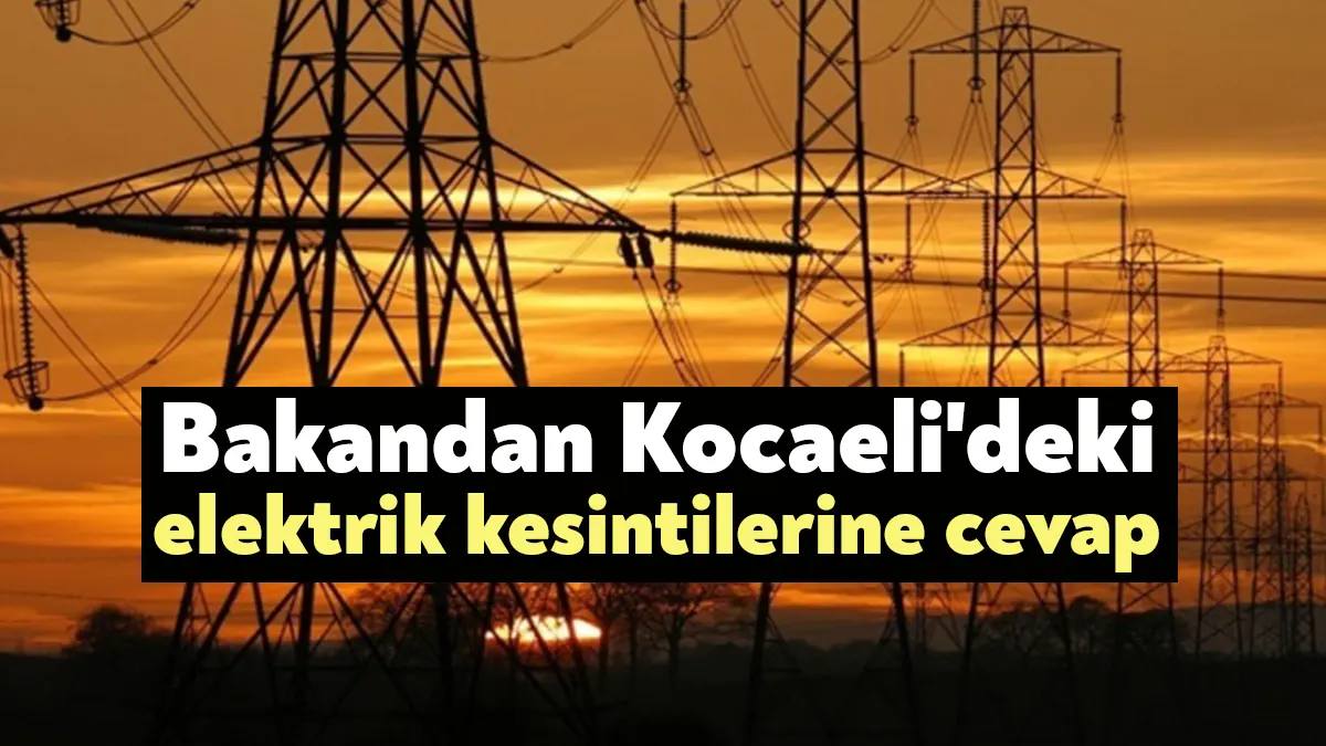 YSP Kocaeli Milletvekili Ömer Faruk Gergerlioğlu’nun Enerji ve Tabii Kaynaklar