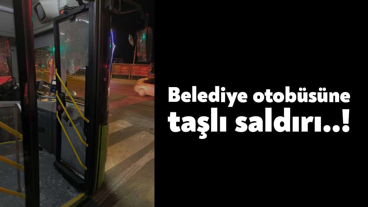 Gebze-İzmit arasında yolcu taşımacılığı yapan belediye otobüsü, dün gece kimliği