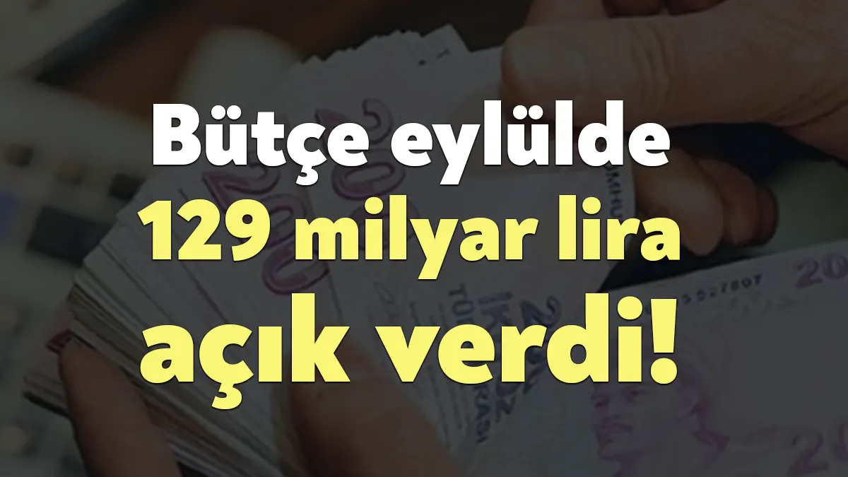 Türkiye'nin merkezi yönetim bütçe gelirleri eylülde 441 milyar 265 milyon