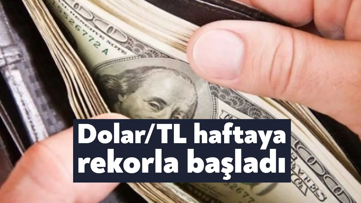 Dolar/TL, eylül başından bu yana devam eden günlük sınırlı yükselişini