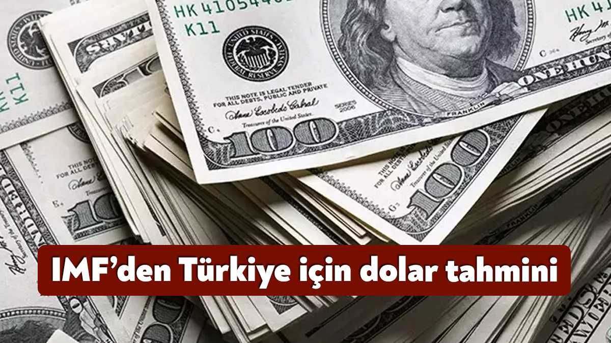 Küresel ekonomik görünüm raporunu bugün açıklayan IMF, Türkiye ekonomisiyle ilgili