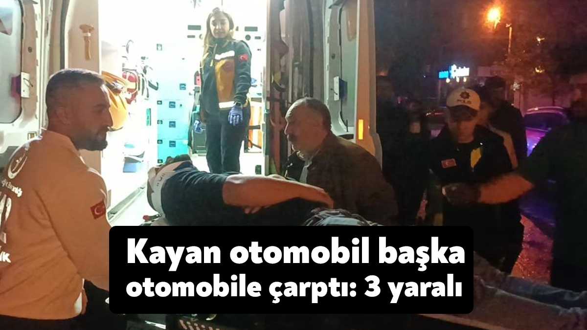Kocaeli'nin Gebze ilçesinde kayganlaşan yolda sürücüsünün direksiyon hakimiyetini kaybettiği otomobil,