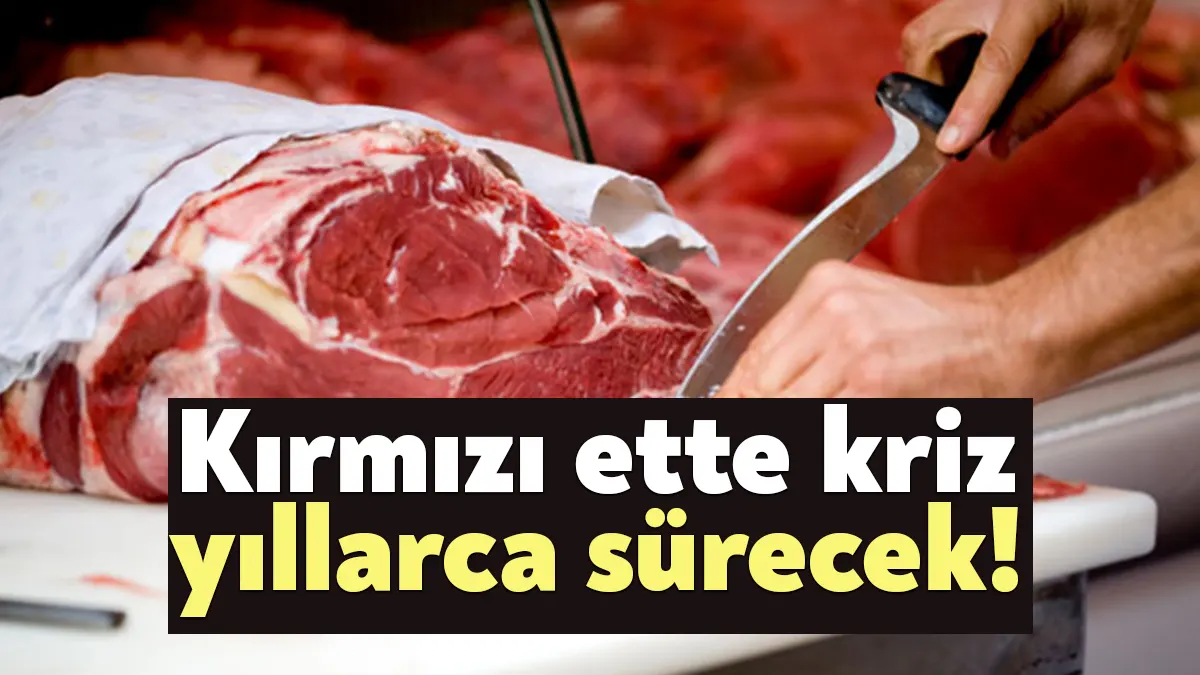 İktidarın tarım ve hayvancılık politikaları üretimi bitirme noktasına getirdi. Bakanlık