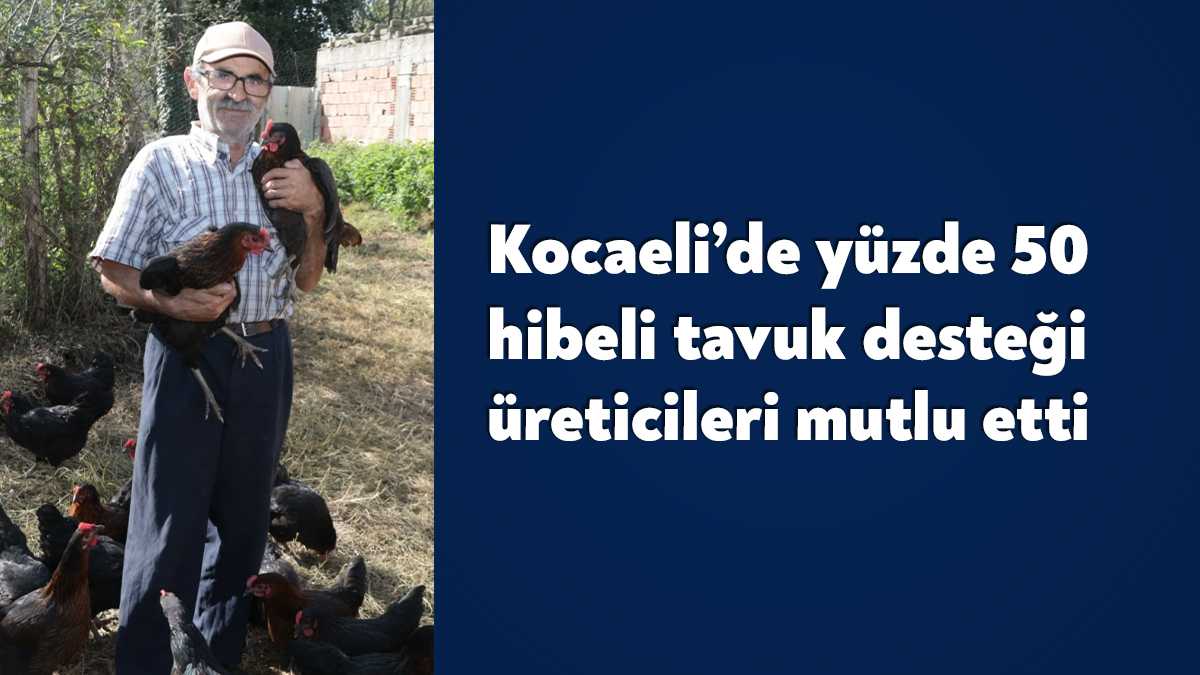 Kocaeli Büyükşehir Belediyesince, yumurta tavukçuluğunun geliştirilmesi ve kırsalda üreticilerin gelir
