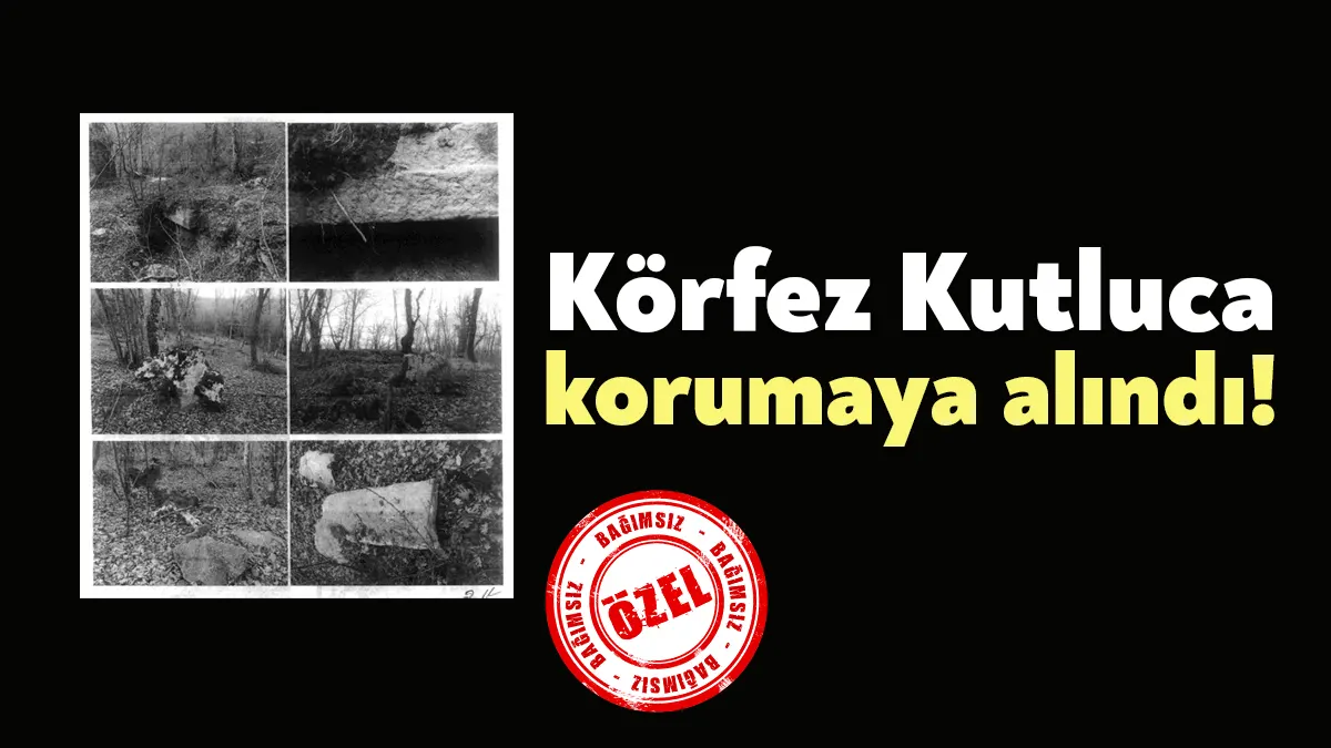 Körfez İlçesi, Kutluca Mahallesi sınırları içerisinde yer alan ve birçok