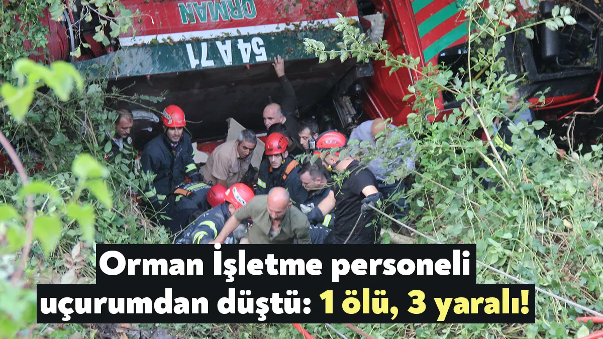KOCAELİ (İHA) - Kocaeli'de orman yolunda Gölcük Orman İşletme Müdürlüğüne