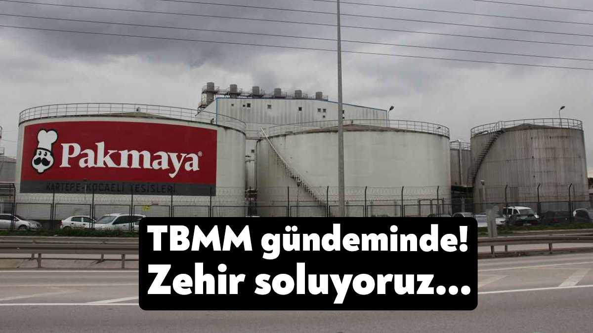 Türkiye Büyük Millet Meclisi Sağlık, Aile ve Çalışma Komisyonu üyesi