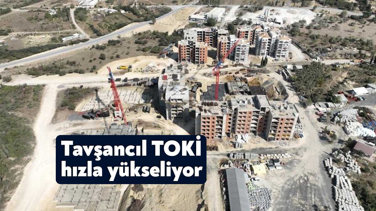 Dilovası Belediye Başkanı Hamza Şayir'in girişimleriyle Çevre ve Şehircilik Bakanlığı