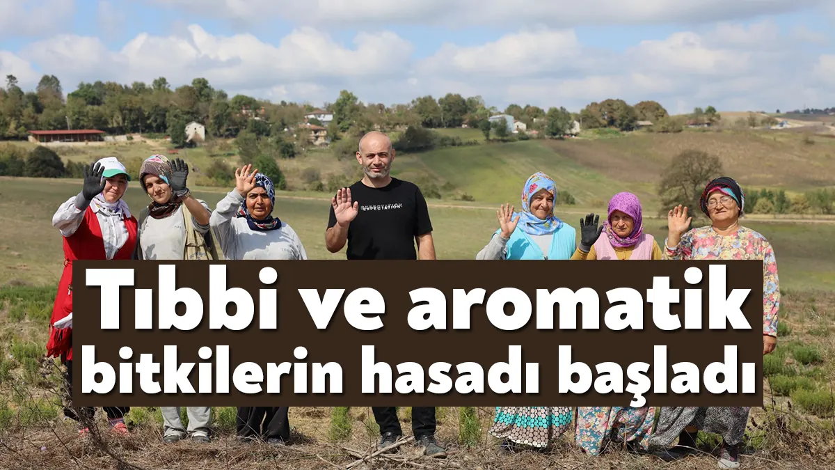 Büyükşehir tarafından katma değeri yüksek tıbbi ve aromatik bitki üreticiliğini teşvik