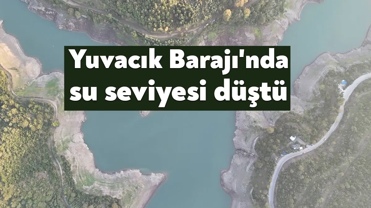 Kocaeli'de beklenen yağışların etkili olmaması neticesinde kentin su ihtiyacının büyük