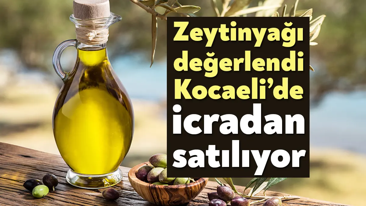 T.C. Kocaeli İcra Dairesi, Taşını 3 bin 120 adet 5