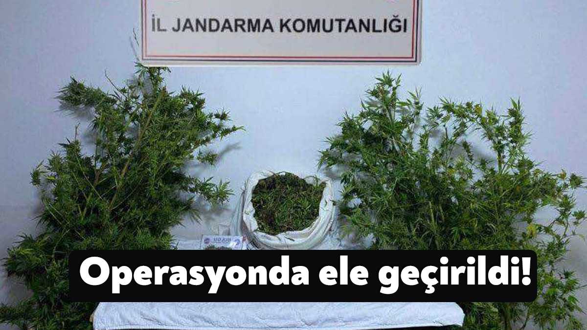 Kocaeli Valiliği Kandıra ilçesinde gerçekleştirilen uyuşturucu operasyonuyla ilgili bir duyuru