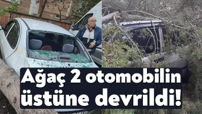 Kocaeli'nin Derince ilçesinde ağacın 2 otomobilin üstüne devrilmesi neticesinde maddi