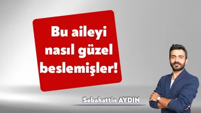 Uğur Enç bugün güzel bir haber yazdı. Haberin linkini yazının