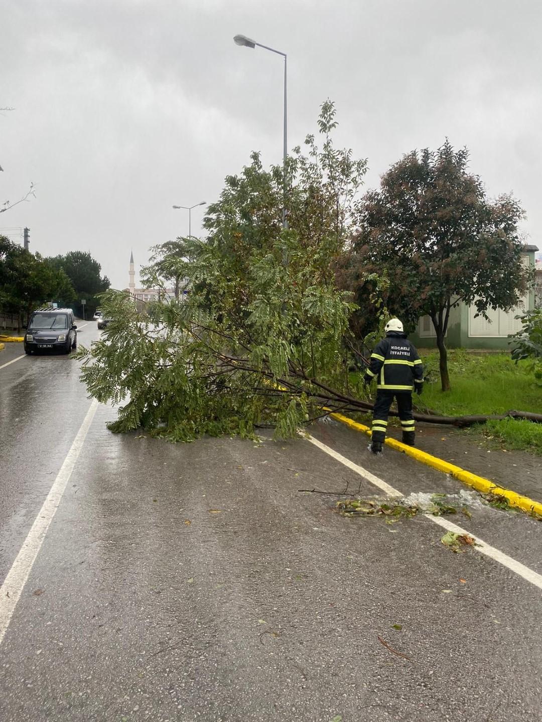 Buyuksehirden Kocaeli genelinde zorlu mucadele 7