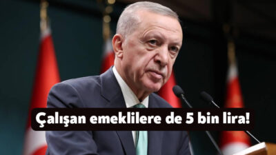 Cumhurbaşkanı Erdoğan, çalışan emeklilere de tek seferlik 5 bin liralık