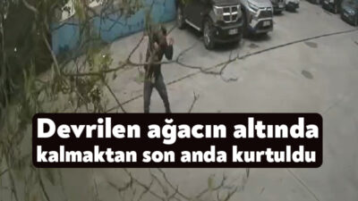 Kocaeli'nin İzmit ilçesinde şiddetli fırtına sebebiyle bir vatandaş devrilen ağacın