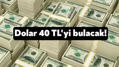 Türkiye Cumhuriyet Merkez Bankası (TCMB), 'Piyasa Katılımcıları Anketi' raporunun Kasım