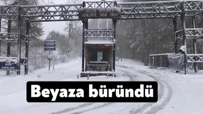 Gölcük'ün doğal güzellikleri ile ünlü turistik mekanlarından Gölcük Belediyesi Eriklitepe