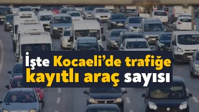 Türkiye İstatistik Kurumu (TÜİK), 2024 Şubat ayı Motorlu Kara Taşıtları