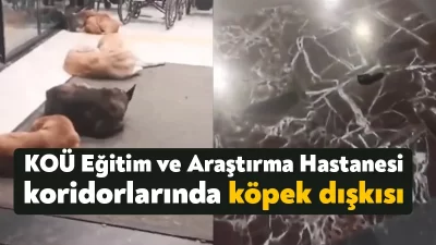 Kocaeli Üniversitesi Eğitim ve Araştırma Hastanesi’nin koridorlarında köpek dışkılarının olması