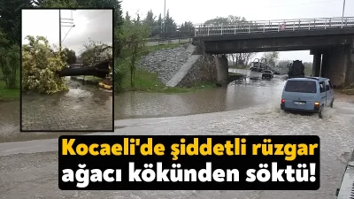 Kocaeli'de etkili olan yağmur sebebiyle bazı alt geçitler sular altında