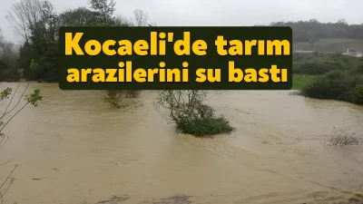 Kocaeli'nin Kandıra ilçesinde etkili olan sağanak sebebiyle tarım arazilerini su