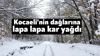 Kocaeli'de gece saatlerinde yüksek kesimlerde başlayan kar yağışı etkisini sürdürürken,