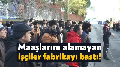 Kocaeli ve Yalova’da faaliyet gösteren GÜRDESAN tersanesinde çalışan taşeron işçi