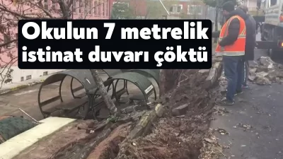 Kocaeli'nin Körfez ilçesindeki bir okulun önünde bulunan 7 metre yüksekliğindeki