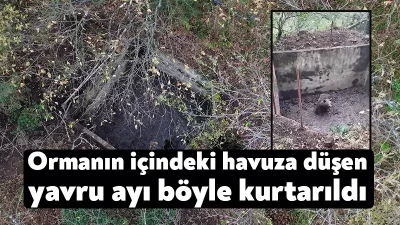 Olay, Servetiye Karşı mevkiindeki ormanlık alanda meydana geldi. Edinilen bilgiye