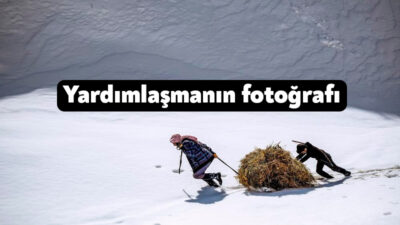 Gölcük Belediyesinin düzenlediği "Yardımlaşma" konulu fotoğraf yarışmasına 50 farklı