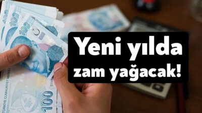 Her yılın başında devletin vatandaştan aldığı vergi, harç ve cezalara yaptığı