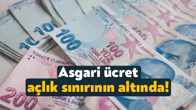 Birleşik Kamu İş’in Ar-Ge birimi KAMU-AR tarafından yapılan araştırmaya göre,