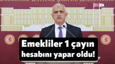 CHP’nin grup önerisi üzerine konuşan Halkların Eşitlik ve Demokrasi Partisi