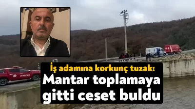Kocaeli'nin Gebze ilçesinde mantar toplamak için ormana giden vatandaş, bıçaklanarak