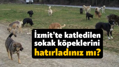 3 sene önce bir İzmit Belediyesi personelinin beceriksizliği yaşanmamış olsaydı,