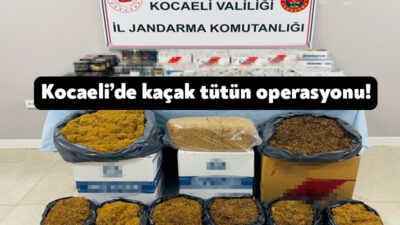Kocaeli’nin Gölcük ilçesinde 13 bin 400 makaron, 13 kilogram kaçak