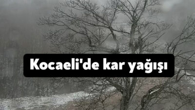 Kartepe’de aralıklarla kar yağışı etkili oluyor. Bugün yeniden yeşil alanların