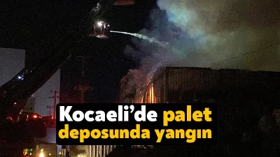 Kocaeli’nin Çayırova ilçesinde palet deposunda çıkan yangın, itfaiye ekiplerinin müdahalesiyle