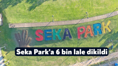 Kocaeli Büyükşehir Belediyesi, Seka Park'ta peyzaj uygulaması yaparak 6 bin