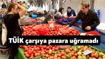 TÜİK’in enflasyon rakamları büyük tepki çekti. DİSK-AR “Gerçekleri yansıtmıyor. Dar