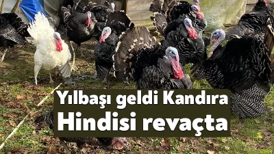 Kocaeli'de yaklaşık 155 yıldır doğal ortamda yetiştirilen, lezzetiyle çok talep