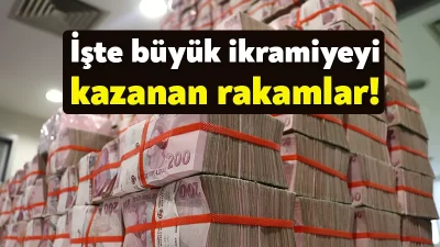 Milli Piyango 2024 çekiliş sonuçları sonrasında bilet sorgulama motoru aracılığıyla
