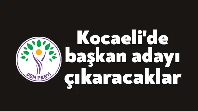 DEM Parti, 31 Mart yerel seçimlerinde batıda Ankara, Antalya, Bolu,