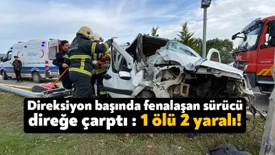 Kocaeli’de direksiyon başında fenalaşan sürücünün kontrolünden çıkan hafifi ticari araç,